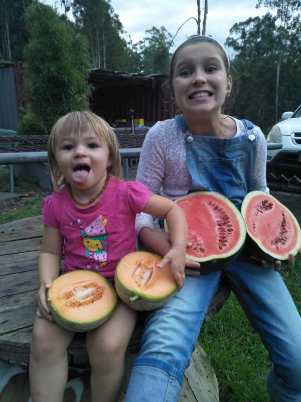 cantaloupe and watermelon grown with worm castings