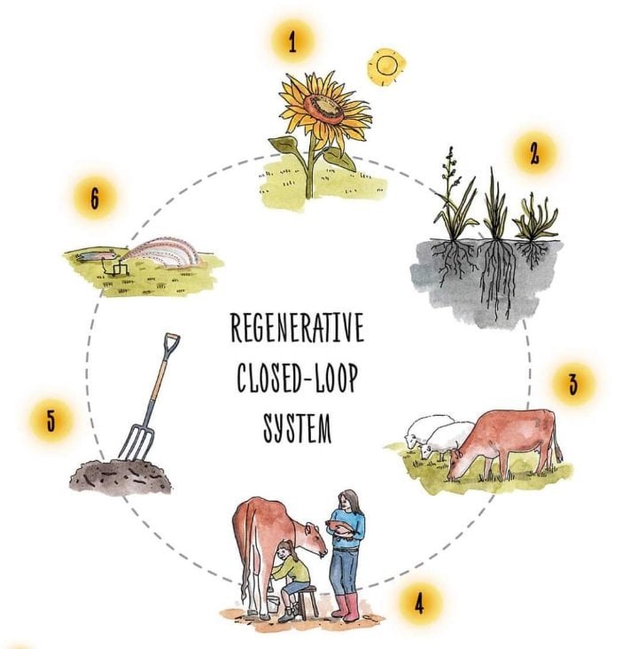 A practical guide to Regenerative Closedloop Systems red